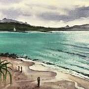 Afternoon At Little Cove Noosa Heads Art Print