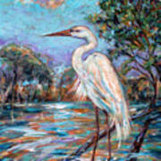 Afternoon Egret Art Print