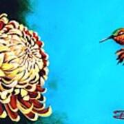 Allen's Hummingbird And Chrysanthemum Art Print