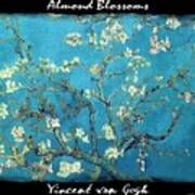 Almond Blossoms - Vvg Art Print