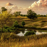 Along The Dunes Art Print