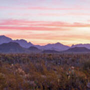 Sonoran Desert At Seven Am Art Print