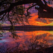 Amazing Oak Sunset At Boerne City Lake Art Print
