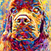 American Cocker Spaniel Art Print