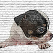 An Angel, Black And White Chihuahua Dog Puppy - Brick Block Background Art Print