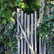 An Old Weathered Gate Art Print