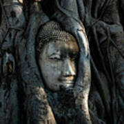 The Fallen Kingdom - Buddha Statue, Wat Mahathat, Thailand Art Print
