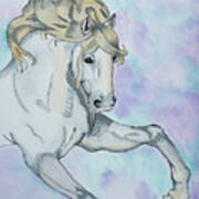 Andalusian Horse Art Print