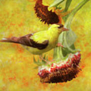 Animal - Bird - For The Birds Art Print
