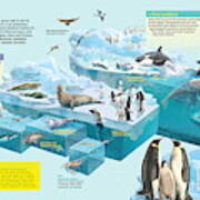 Antarctica Art Print