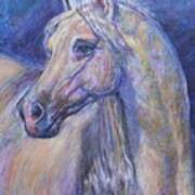 Arab Stallion Horse Art Print
