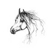 Arabian Horse Drawing 37 Art Print