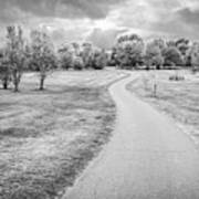 Arboretum Trail Bw Art Print