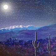 Arizona Desert Moonlight Art Print
