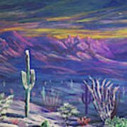 Arizona Winter Art Print