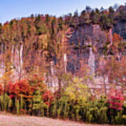Arkansas Roark Bluff Autumn Landscape 1x1 Art Print