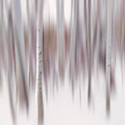 Aspen Impressions #1 - Abstract - Lake Tahoe Art Print