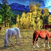 Aspen Pasture Art Print