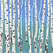 Aspen Trees Ii Art Print