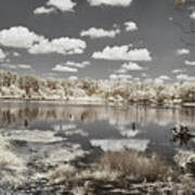 Austin Lake In Infrared Art Print
