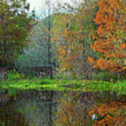 Autumn At Brazos Bend Art Print