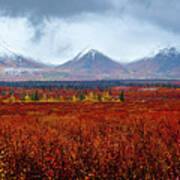 Autumn Blaze In The Alaskan Wilderness Art Print