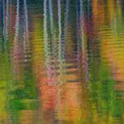 Autumn Colors At Kerr Lake Art Print