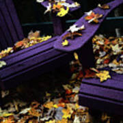 Autumn Colors On The Deck Art Print