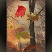 Autumn Free Fall Art Print