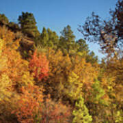 Autumn In Zion Art Print