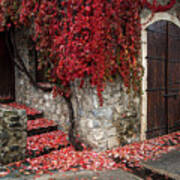 Autumn Landscape With Red Plants On A Hous Wall Art Print