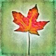 Autumn Leaf Art Print