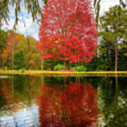 Autumn Red Maple Reflections At The Lake Art Print
