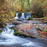 Autumn Waterfall Art Print