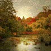 Autumn Wetlands Art Print