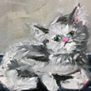 Babe Persian Cat Art Print
