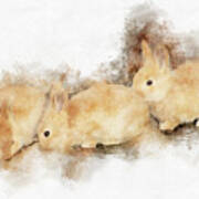Baby Bunnies - The Art Of Cuteness Art Print