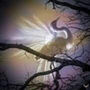 Backlit Plumage Art Print