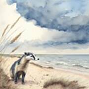 Badger At The Beach Landscape Art Print
