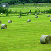 Bales Of Hay In The Field Art Print