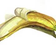 Peeled Banana Art Print