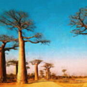 Baobabs Art Print