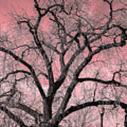 Bare Tree Art Print