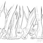 Barefoot Dance Line Drawing Art Print