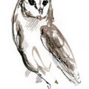 Barn Owl 2019 12 02 Art Print