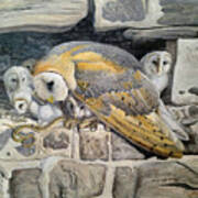 Barn Owl Family Art Print