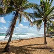 Beach Waves And Palm Trees, Pinones, Puerto Rico Art Print