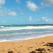 Beach Waves And Seaweed, Pinones, Puerto Rico Art Print
