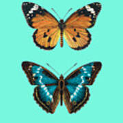 Beautiful Butterflies Art Print