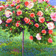 Beautiful Little Rose Tree Art Print